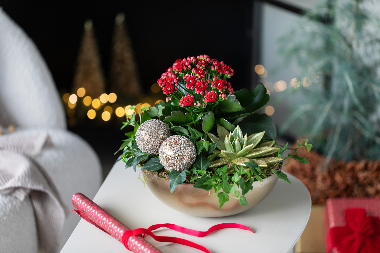 Rød allergivennlig julegruppe